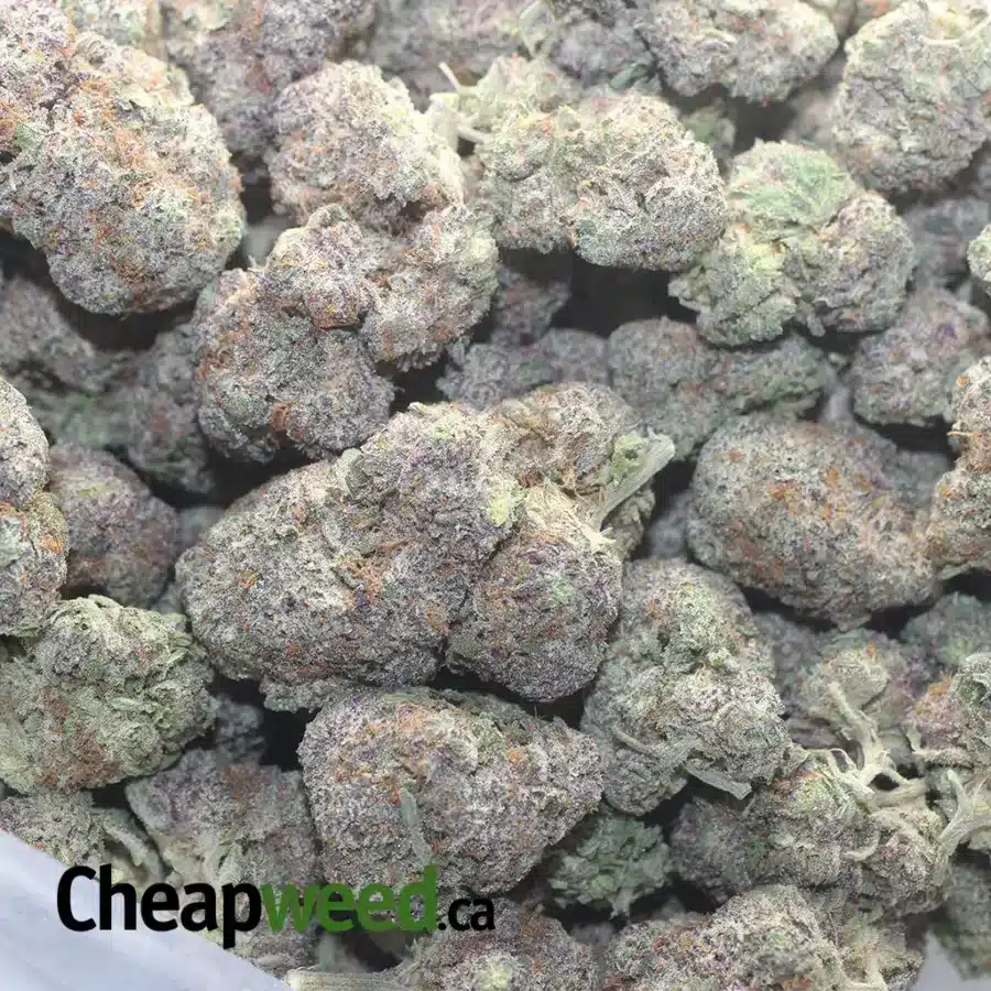 GODS GREEN CRACK 1 I God's Green Crack