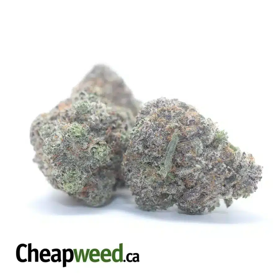 Alternative view of God's Green Crack