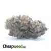 Grape Gasoline