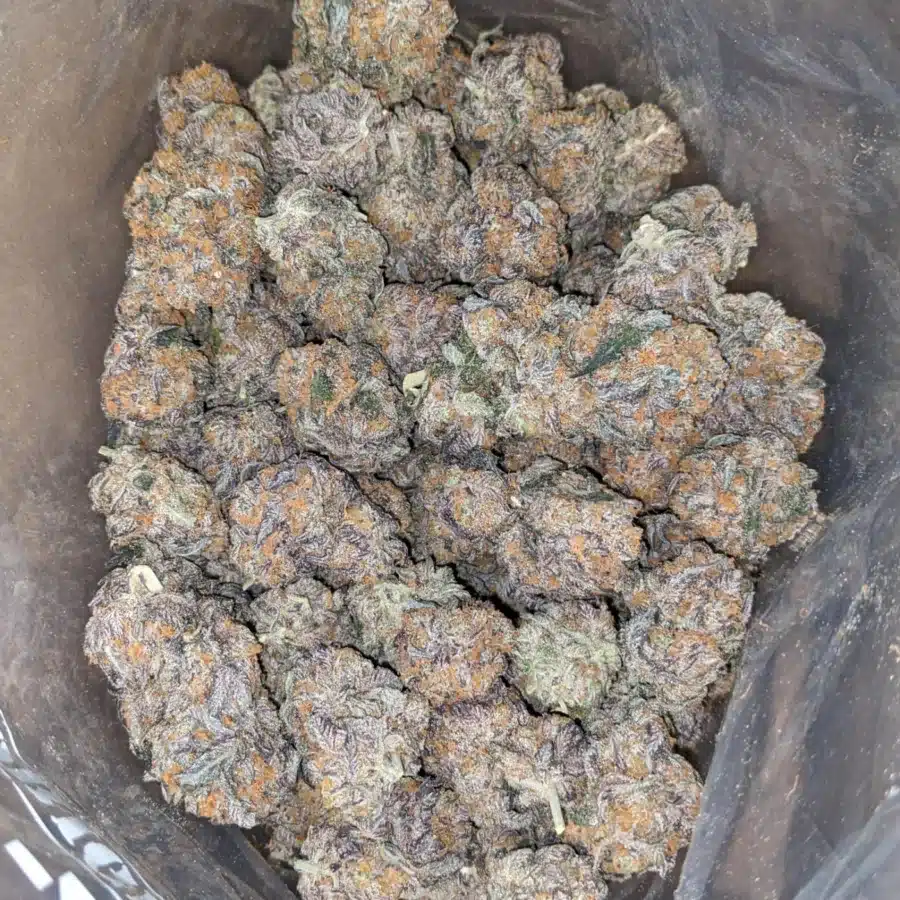 Grape Gasoline 2 I Grape Gasoline