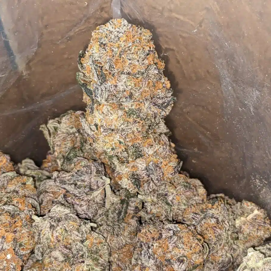 Grape Gasoline 4 I Grape Gasoline