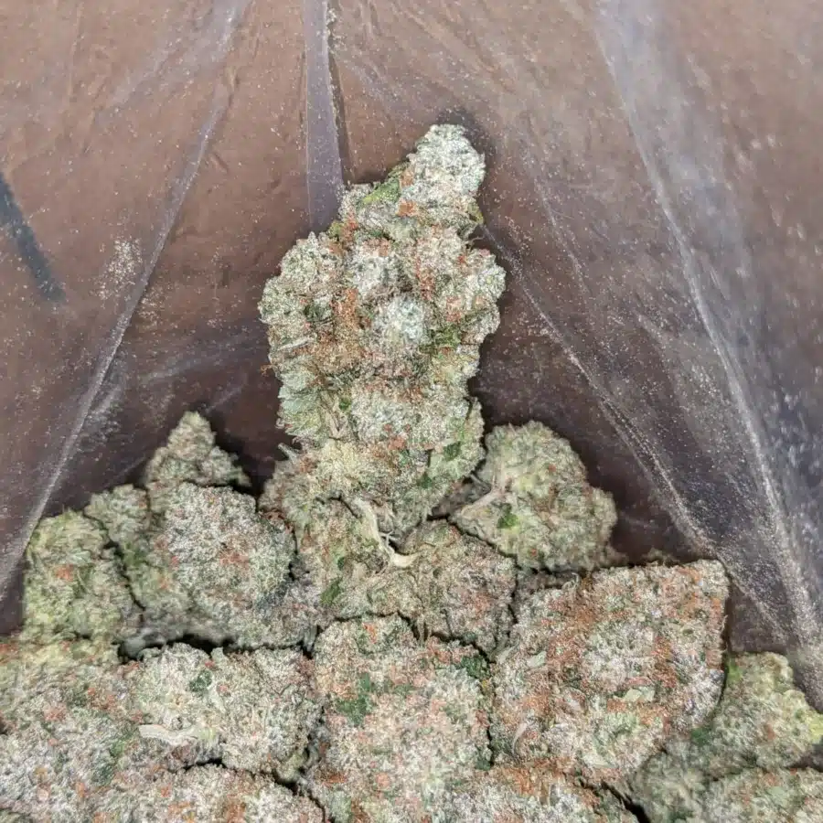 Hindu Kush 1 1 I $ 65 Oz - Hindu Kush
