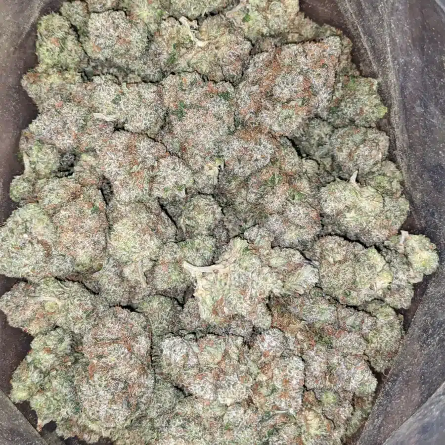 Hindu Kush 2 1 I $ 65 Oz - Hindu Kush
