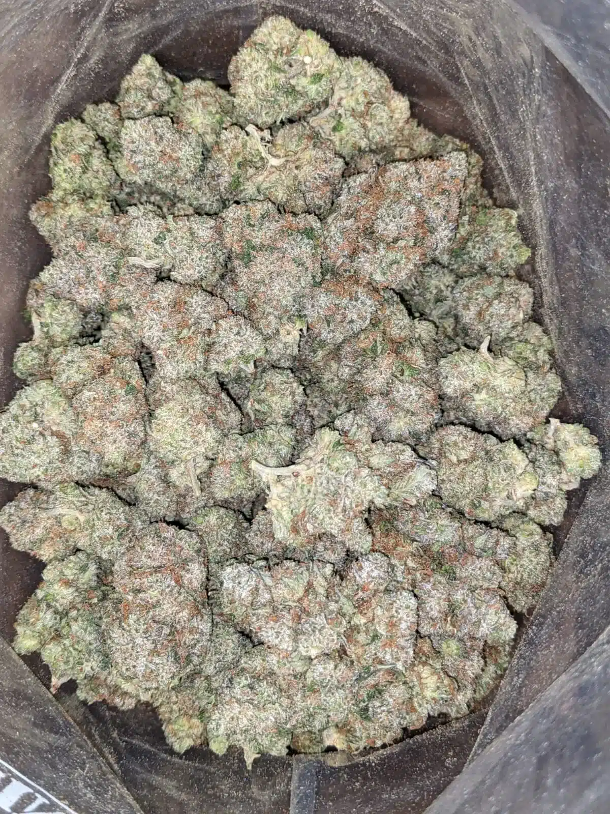 $ 65 Oz - Hindu Kush - Image 6