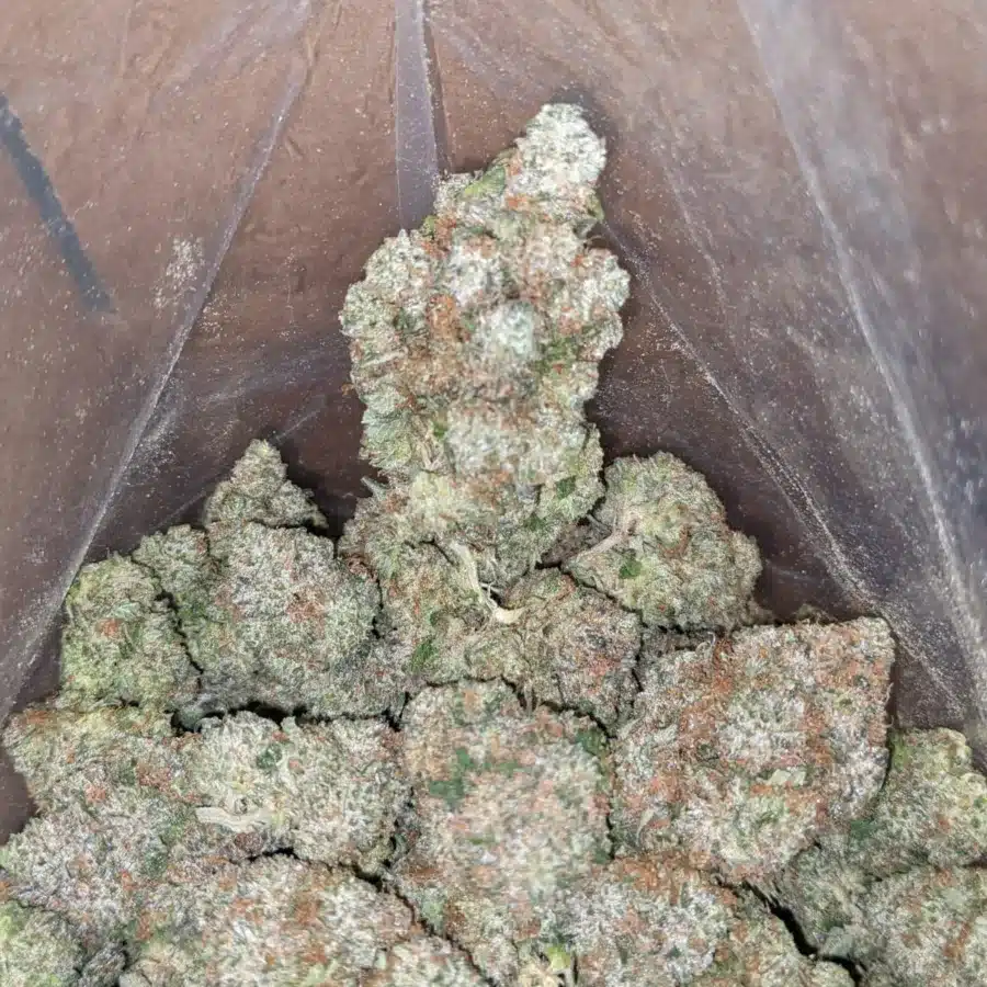 Hindu Kush 3 1 I $ 65 Oz - Hindu Kush