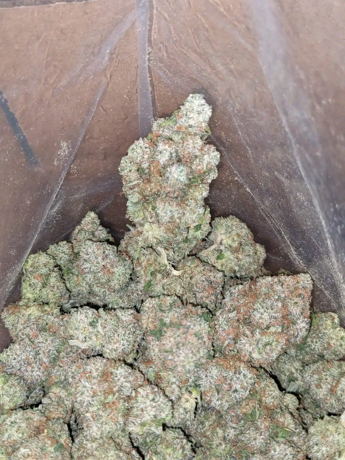 $ 65 Oz - Hindu Kush - Image 7