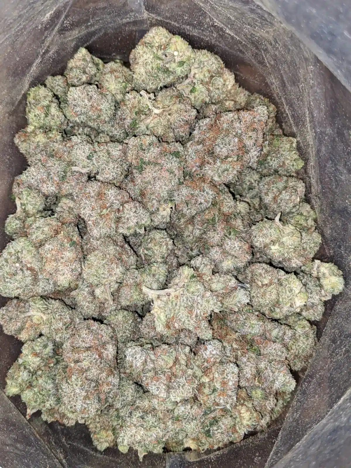 $ 65 Oz - Hindu Kush - Image 5