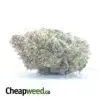 Jetfuel Gelato