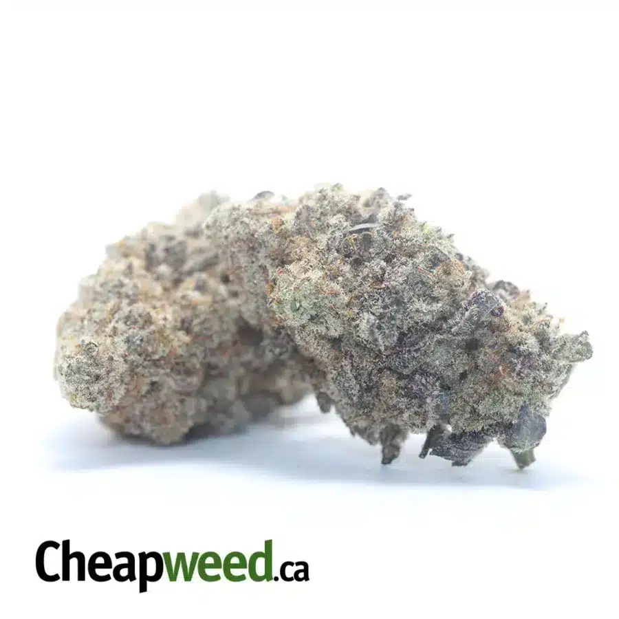 LAVENDER KUSH CAKE 2 1 I Lavender Kush Cake