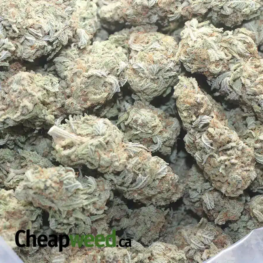 LEMON DIESEL 1 I $46oz Lemon Diesel