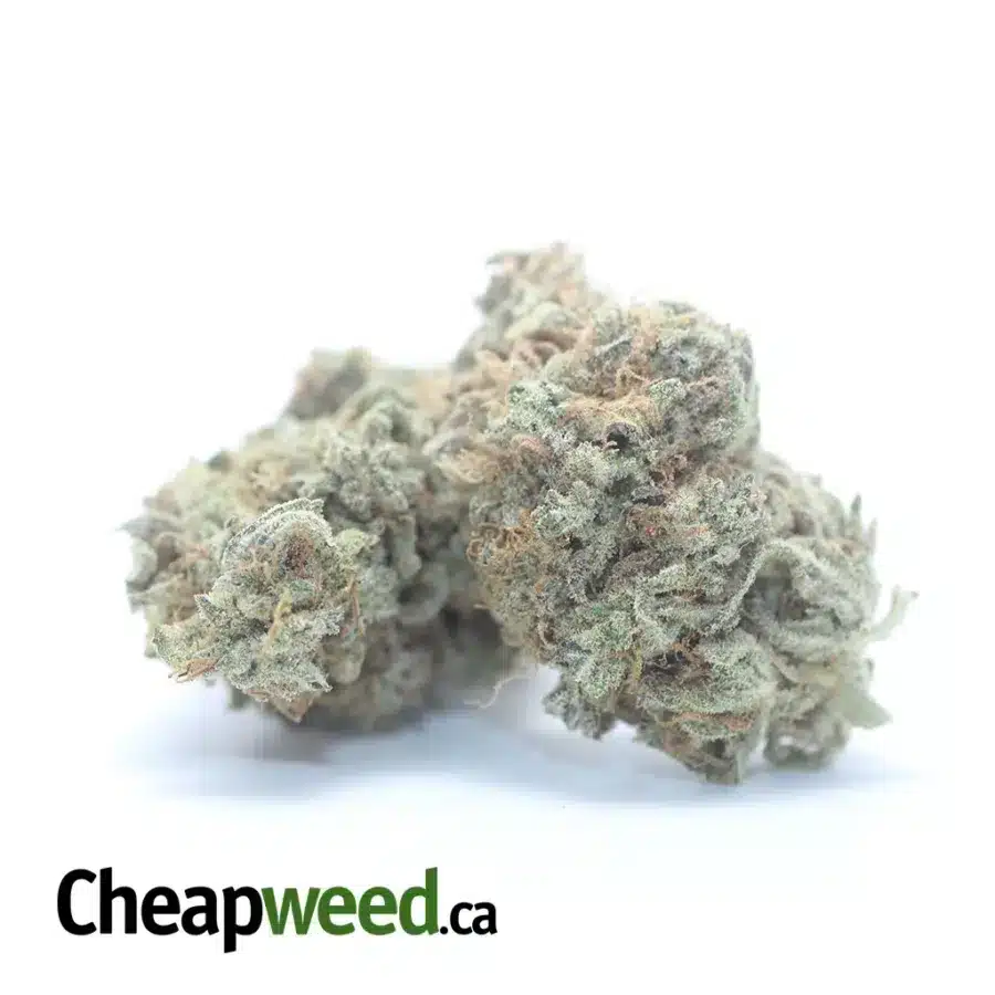 LEMON DIESEL 3 I $46oz Lemon Diesel