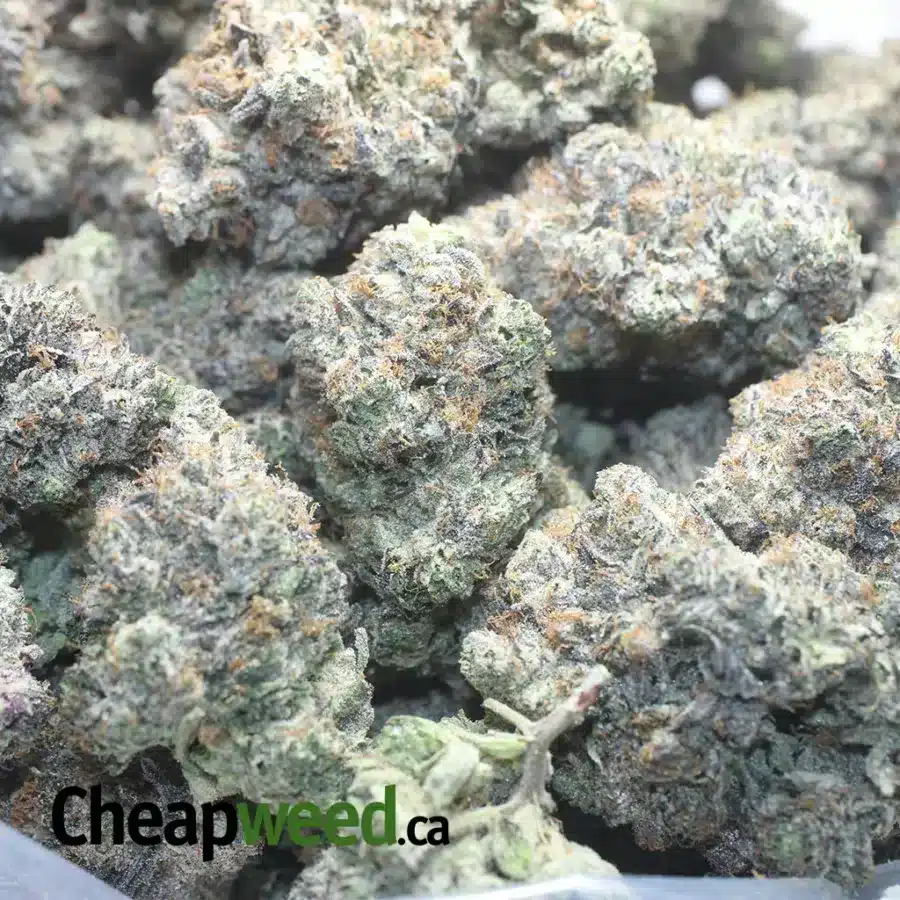 MK ULTRA BLACK OPS 1 I MK Ultra Black Ops