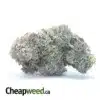 MK Ultra Black Ops