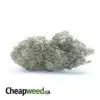 Nuken