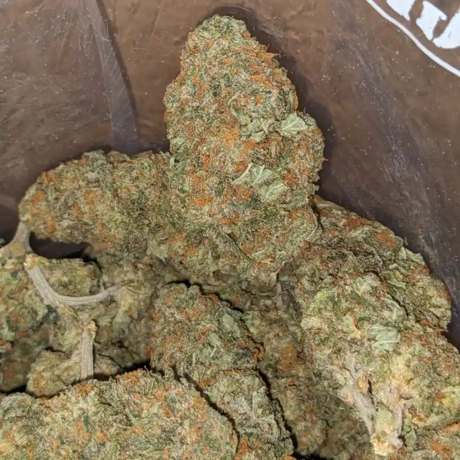 Alternative view of Nuken
