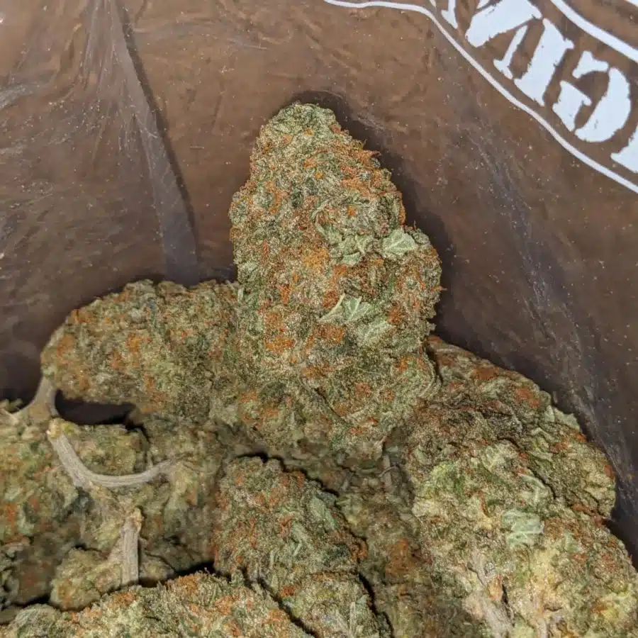Nuken 4 I Nuken