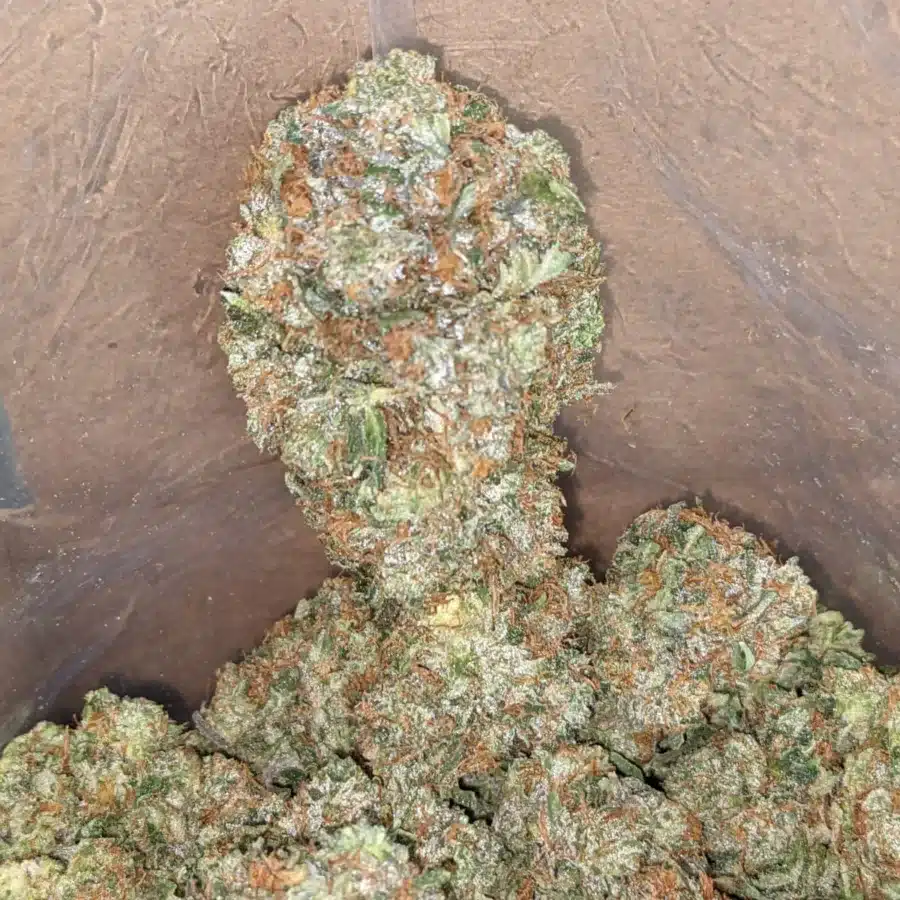 Pink Bubba 1 I Pink Bubba