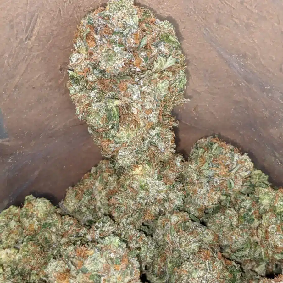 Pink Bubba 3 I Pink Bubba