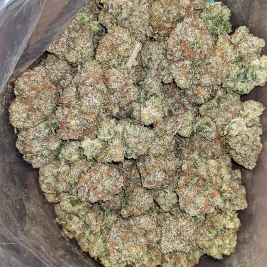 Pink Bubba 4 I Pink Bubba