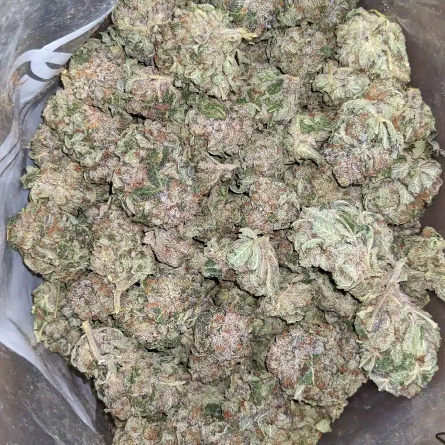 Pink Kush Deal of the Day 2 1 I Pink Kush - *Deal Of The Day*