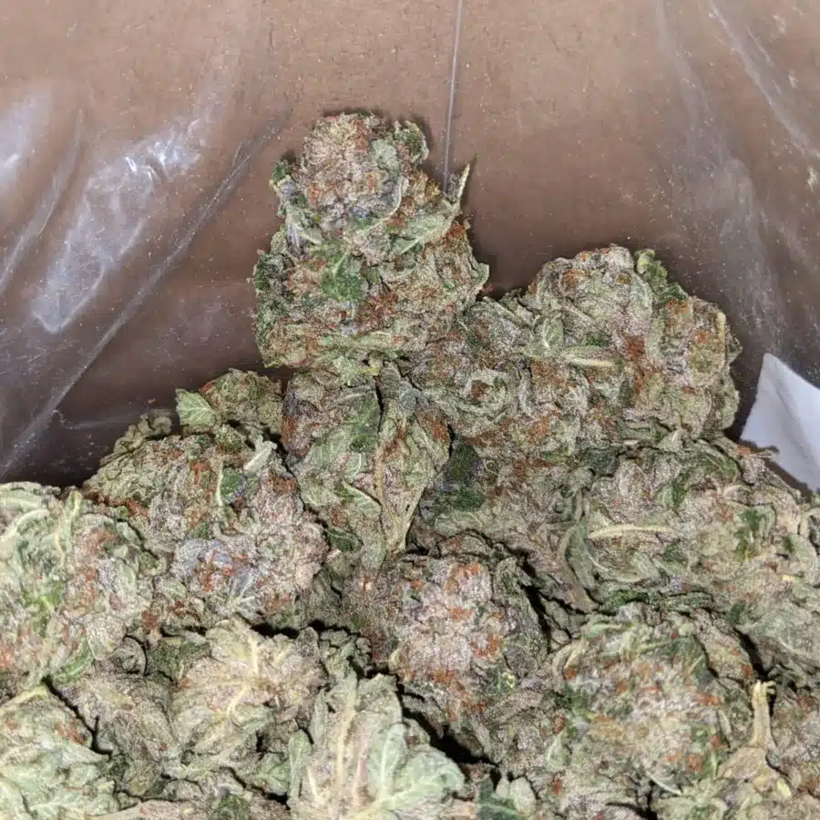 Pink Kush Deal of the Day 3 I Pink Kush - *Deal Of The Day*