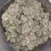 Pink Guava