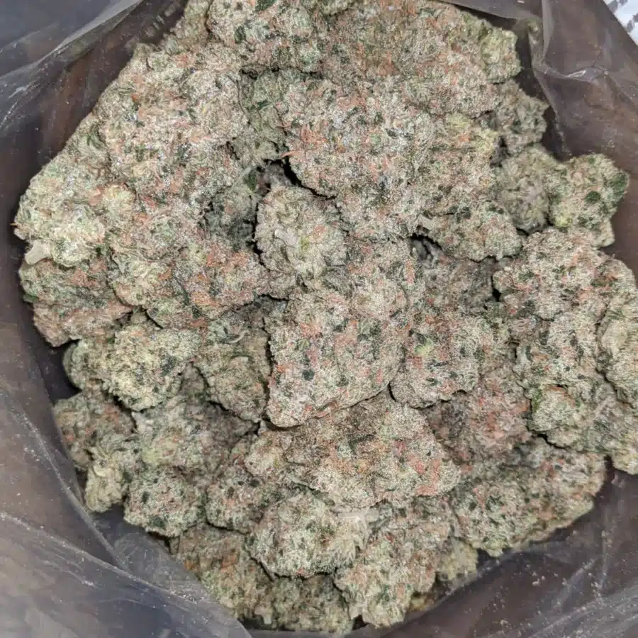 Pink Guava