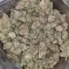 Rainbow Sherbert