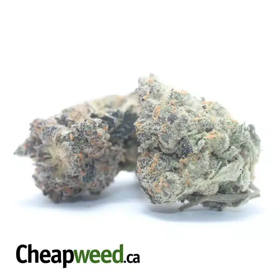 TROPICAL BERRY BLAST 2 I $57oz Tropical Berry Blast