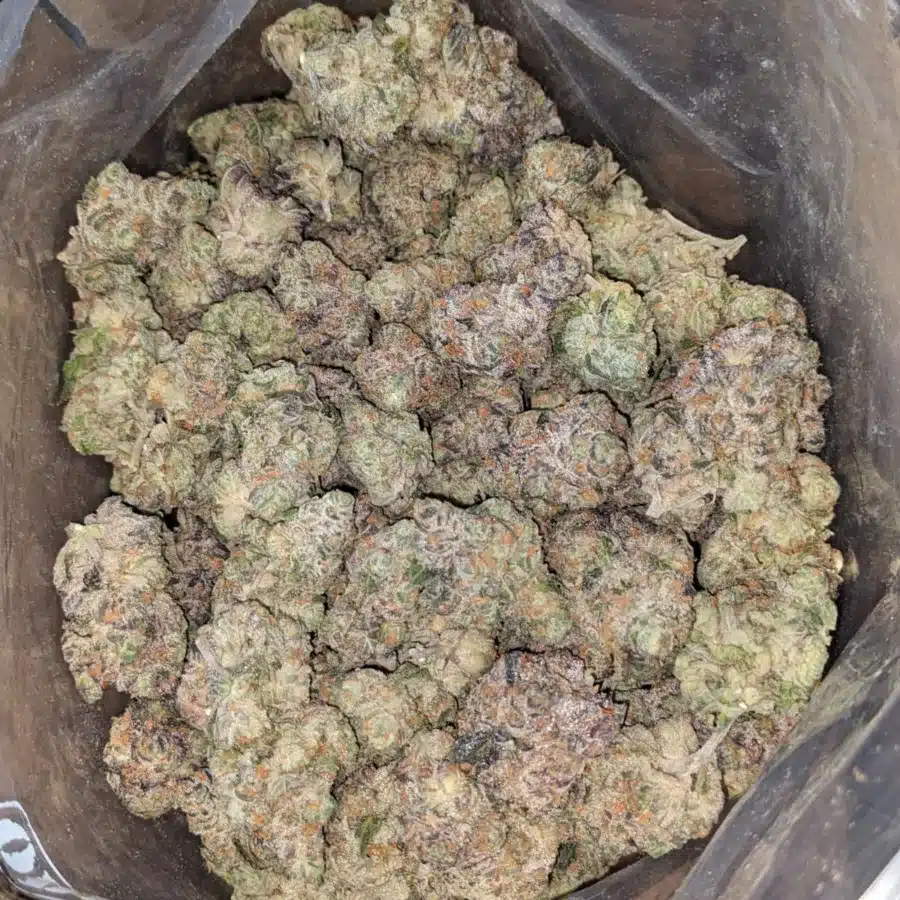 Tropical Berryblast 1 I $57oz Tropical Berry Blast