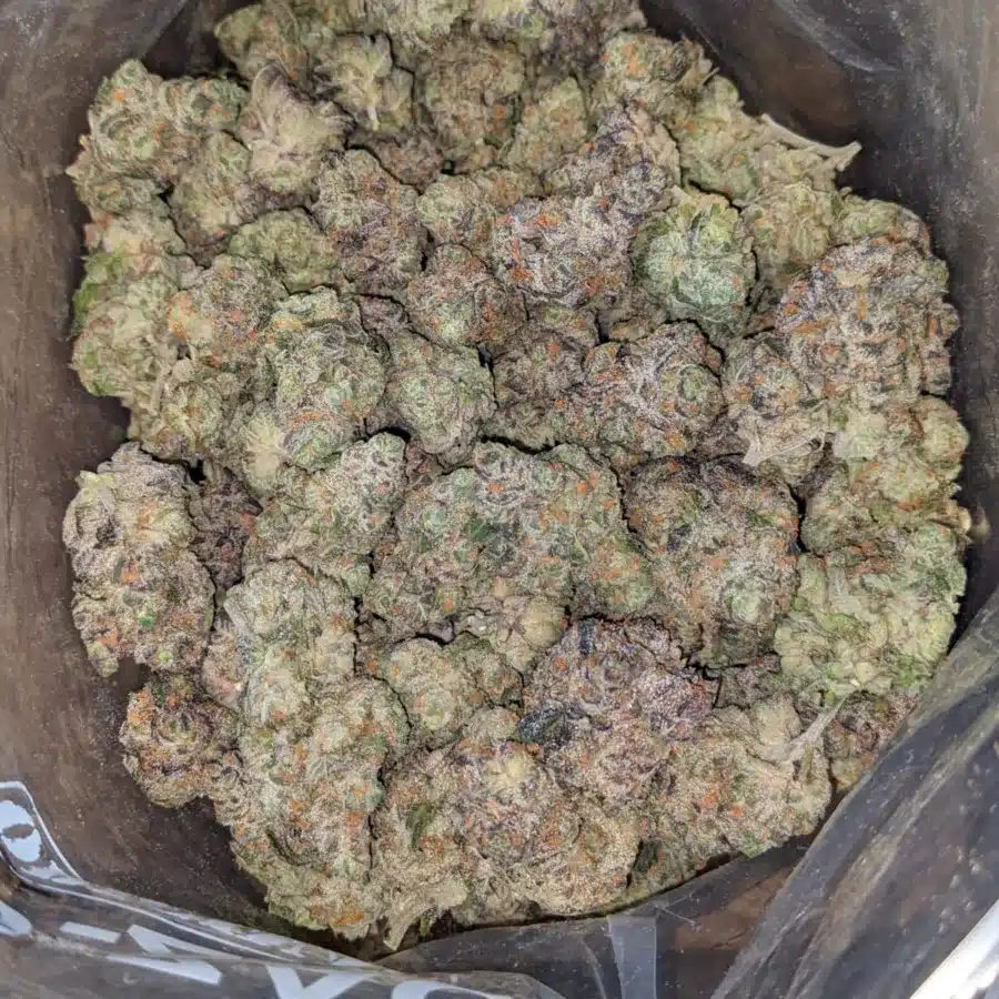 Tropical Berryblast 2 I $57oz Tropical Berry Blast