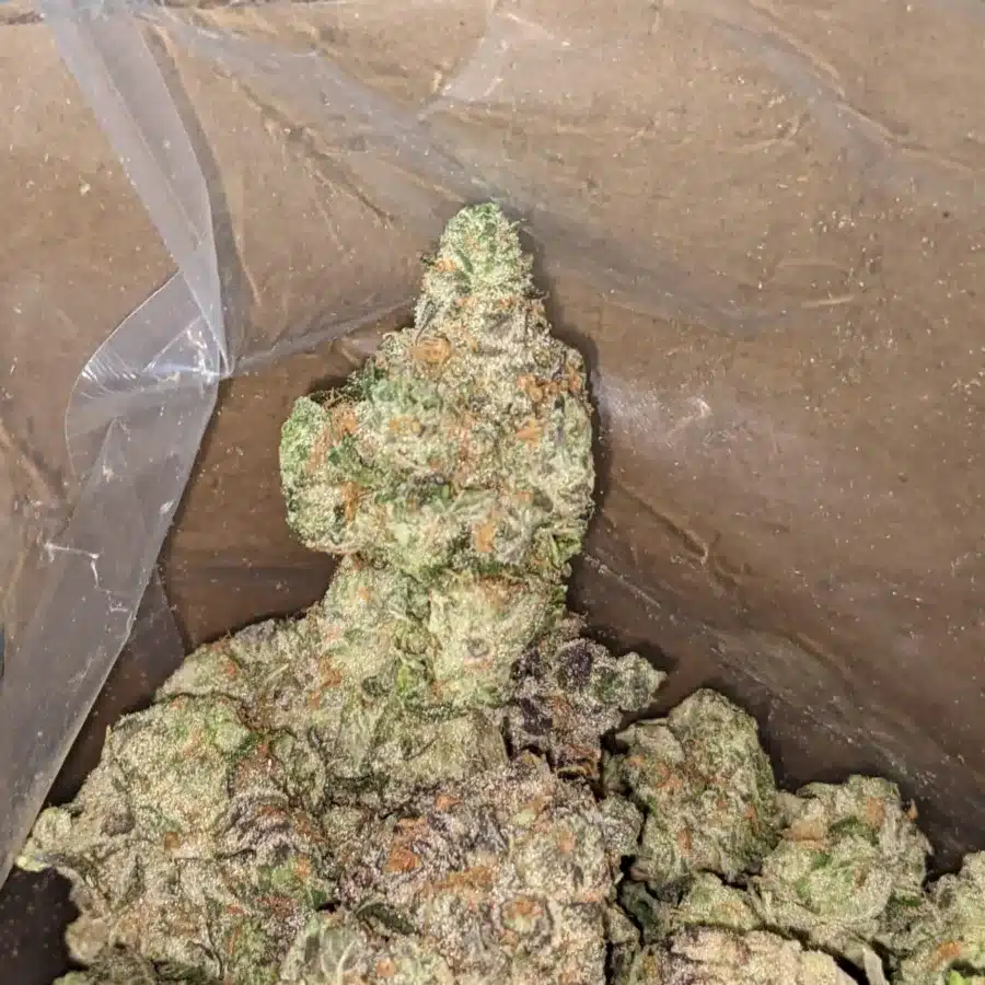 Tropical Berryblast 3 I $57oz Tropical Berry Blast