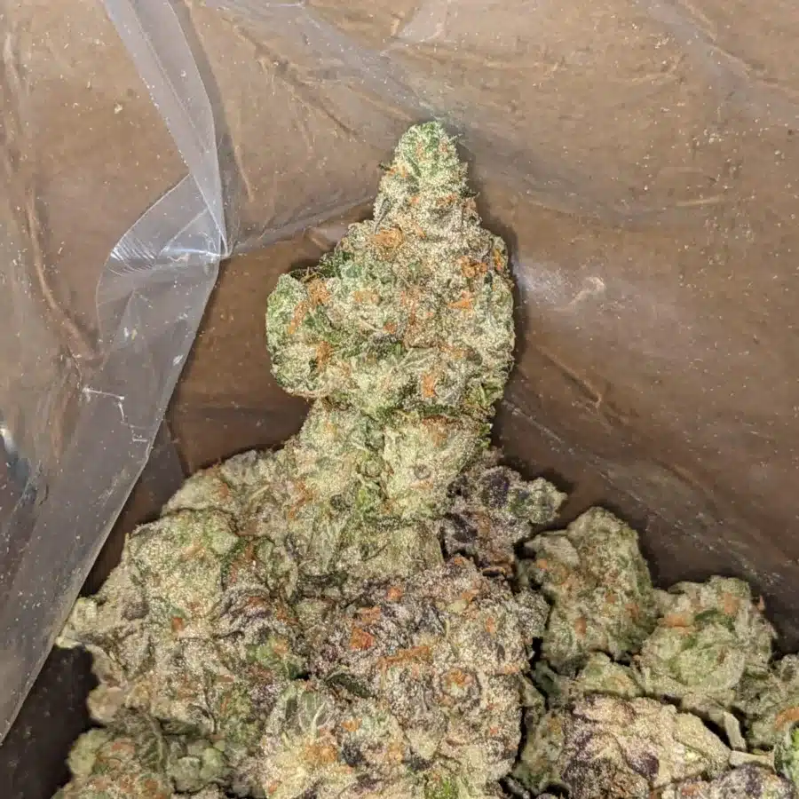 Tropical Berryblast 4 I $57oz Tropical Berry Blast