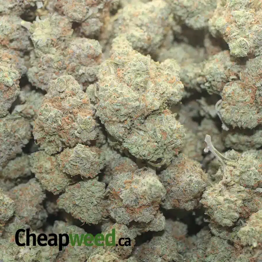 WEDDING PIE 1 I $ 49 Oz - Wedding Pie