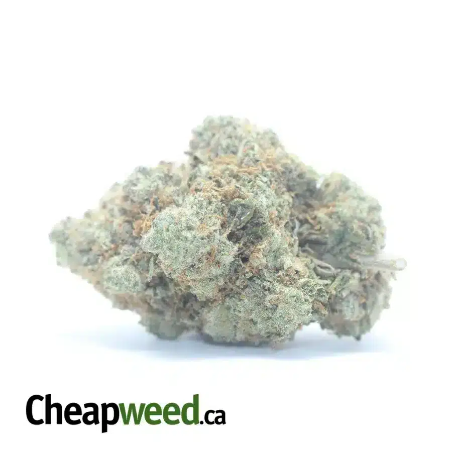 $ 49 Oz - Wedding Pie