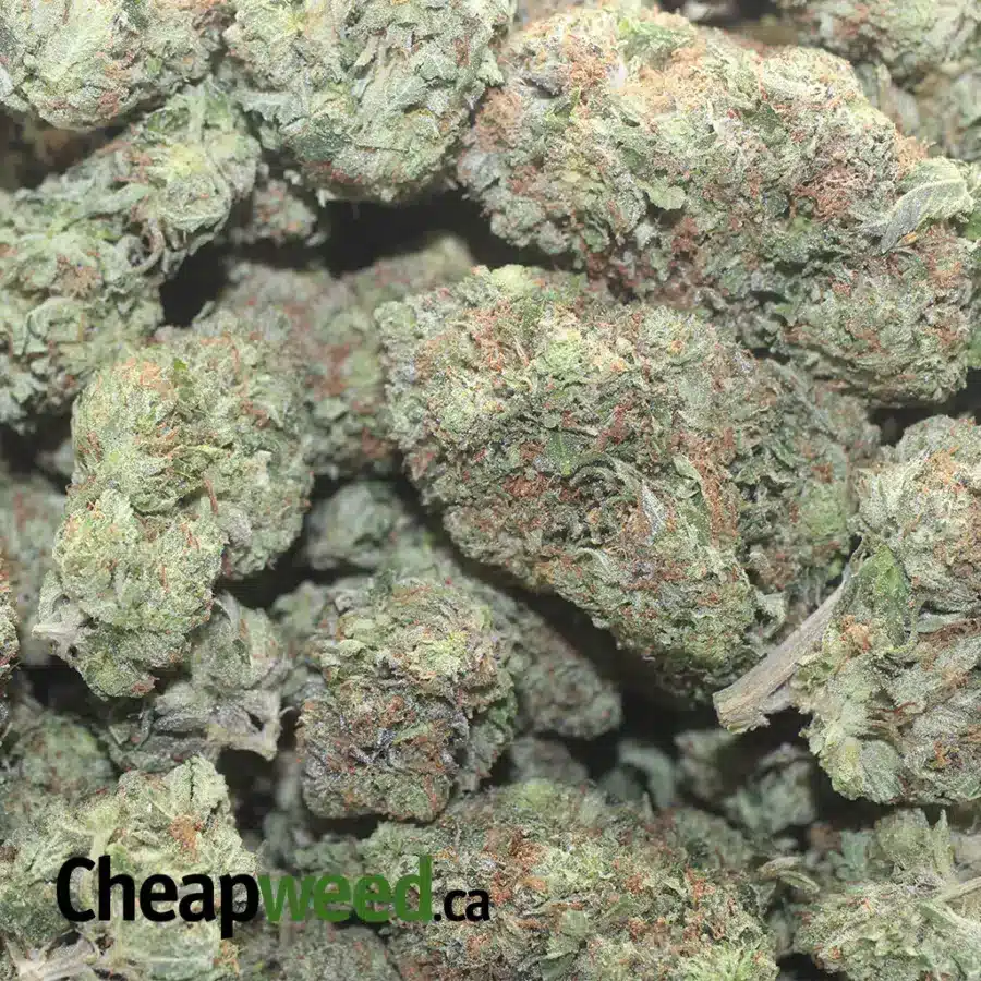 3 IN THE PINK FLAT 1 I $69 Oz - 3 In The Pink