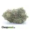 $69 Oz - 3 In The Pink