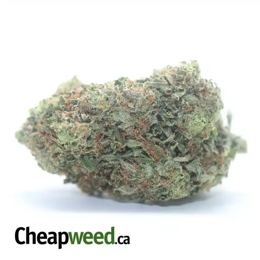 $69 Oz - 3 In The Pink