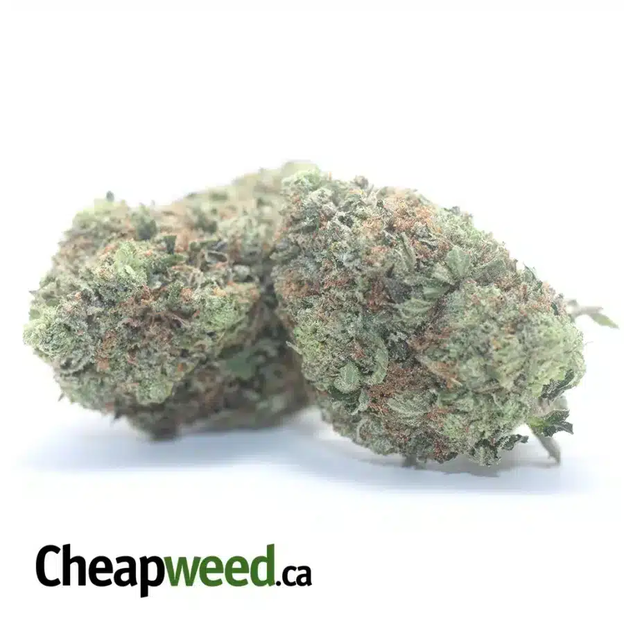 Alternative view of $69 Oz - 3 In The Pink