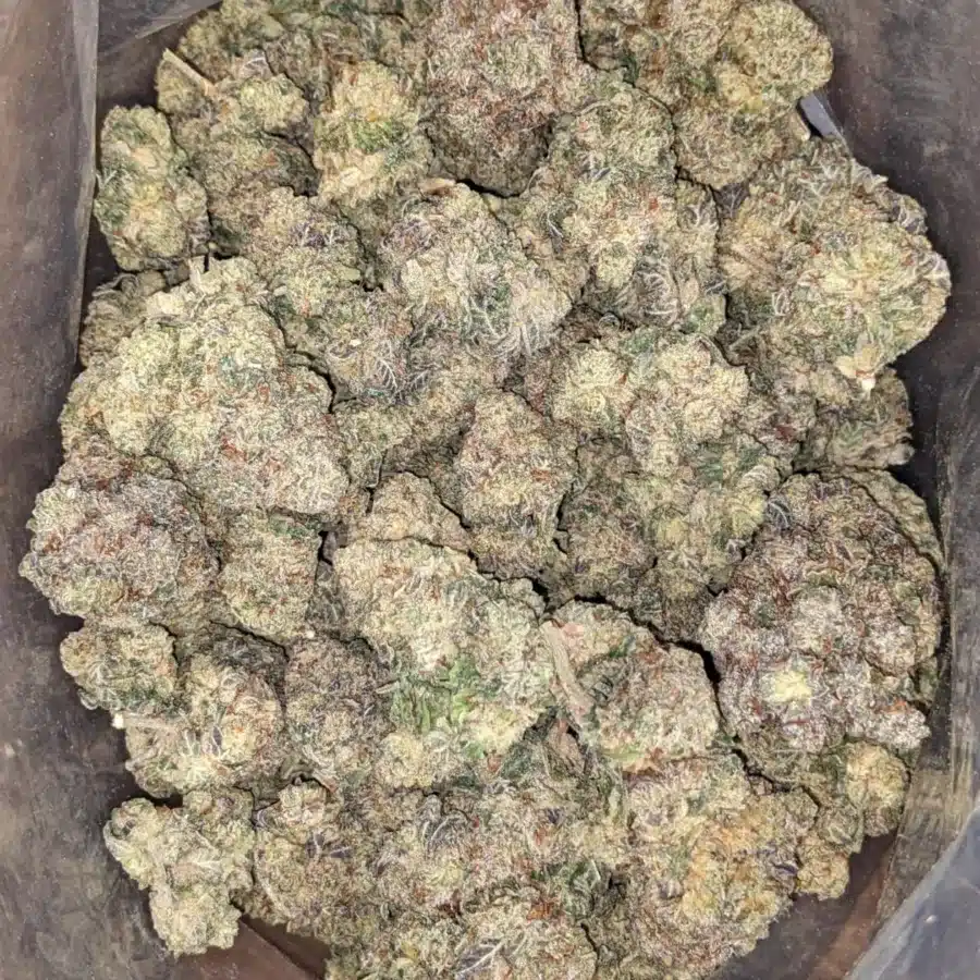 47 Oz Cookies and Cream 2 I $47oz Cookies N' Cream