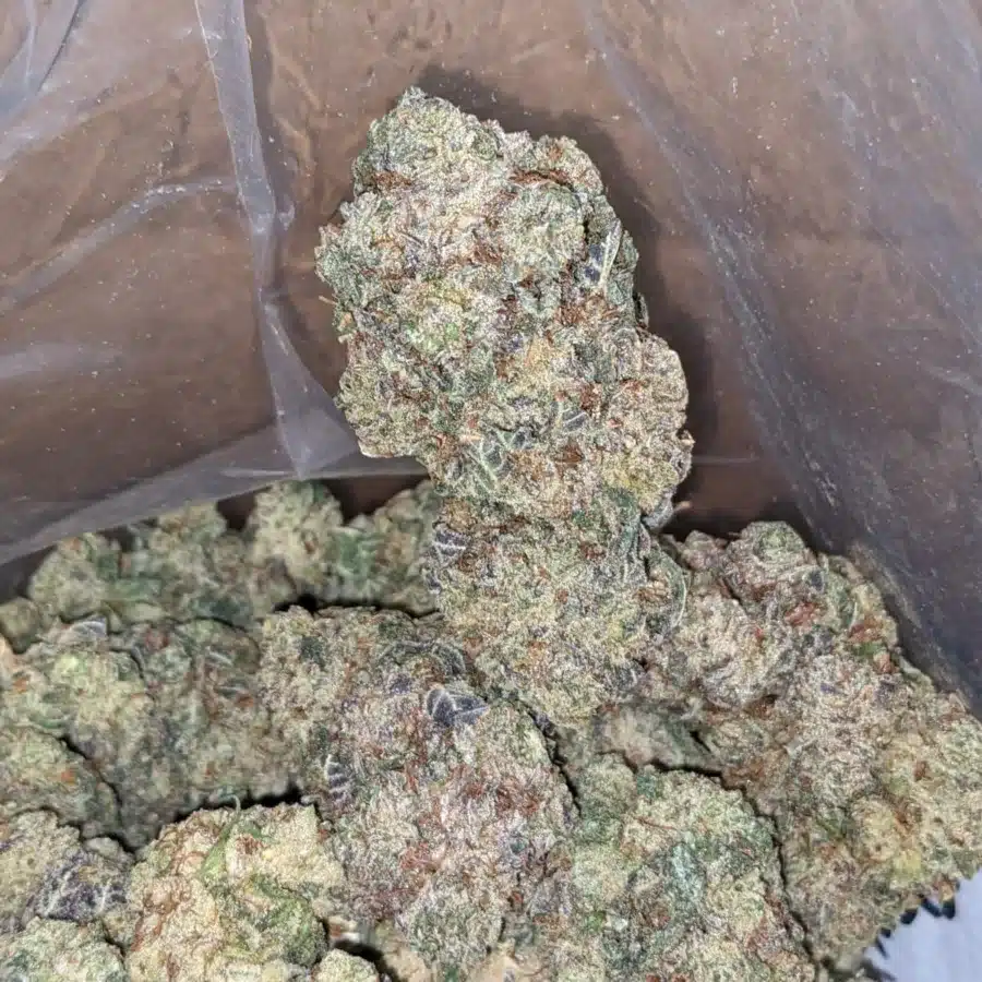 47 Oz Cookies and Cream 3 I $47oz Cookies N' Cream