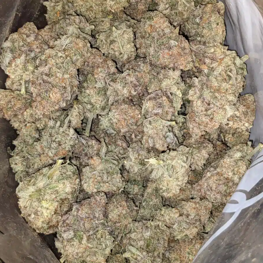 $50oz GMO Cookies
