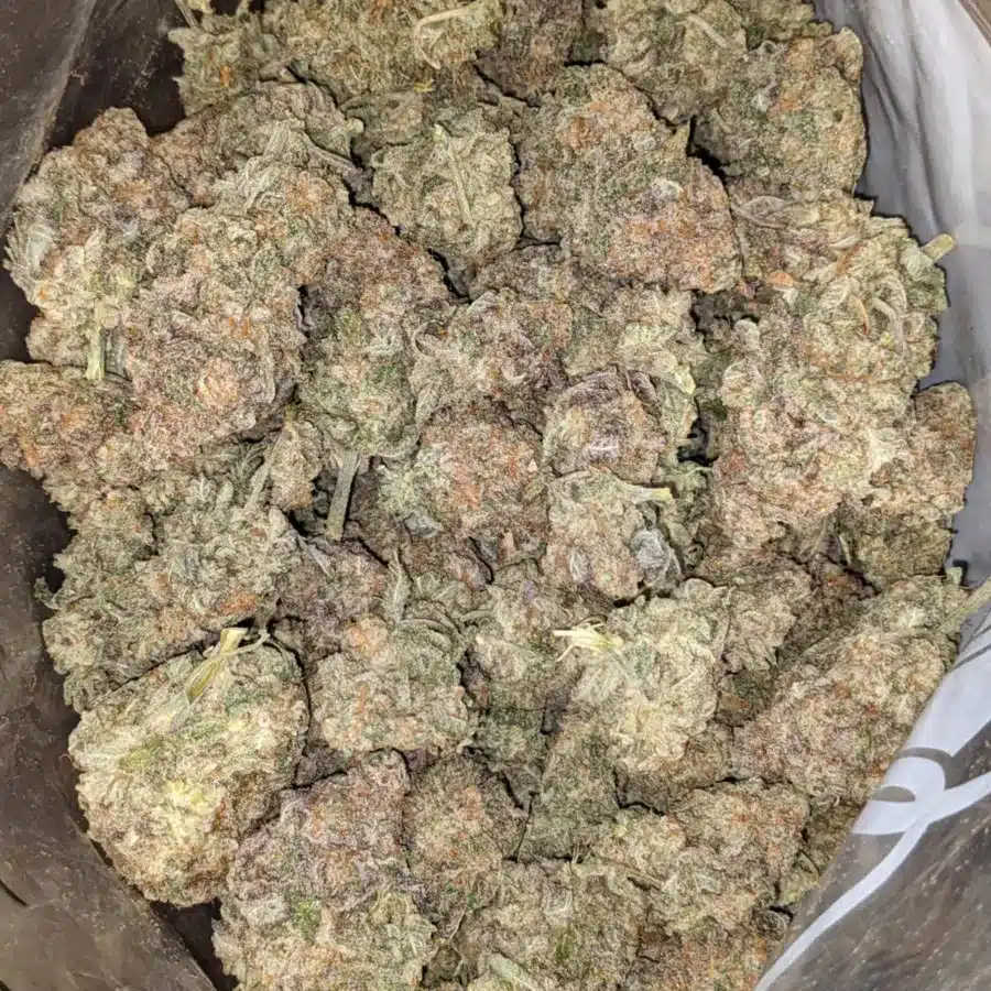 50 Oz Gmo Cookies 2 I $50oz GMO Cookies