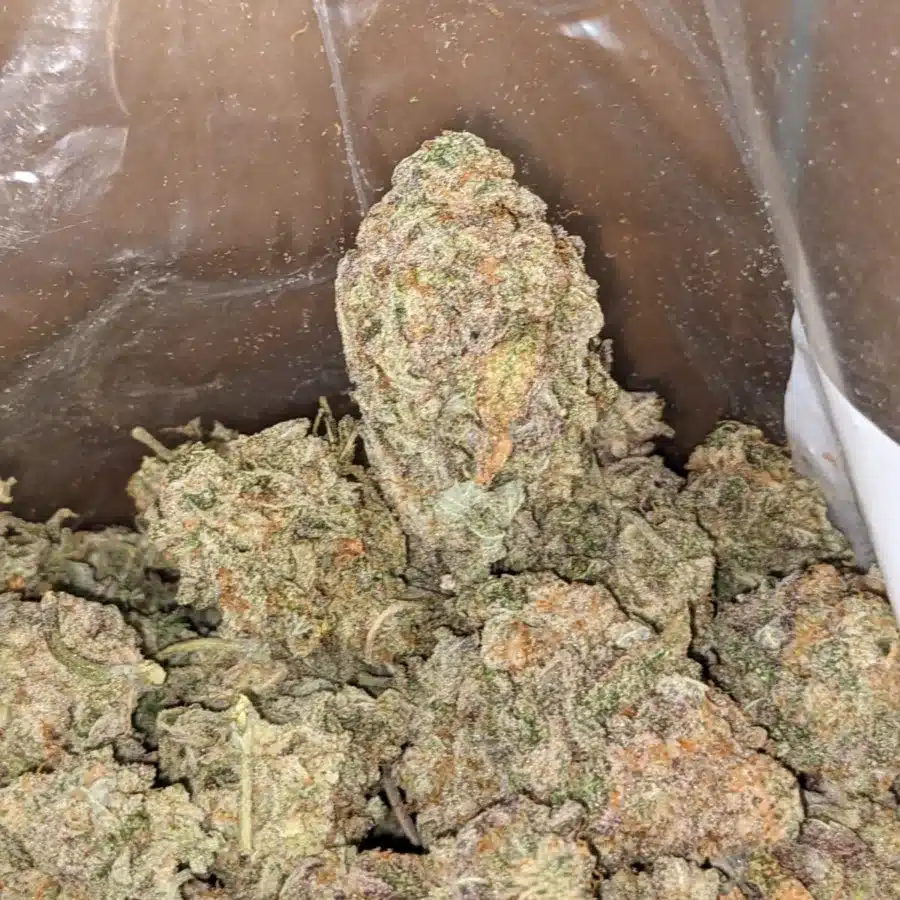 50 Oz Gmo Cookies 3 I $50oz GMO Cookies