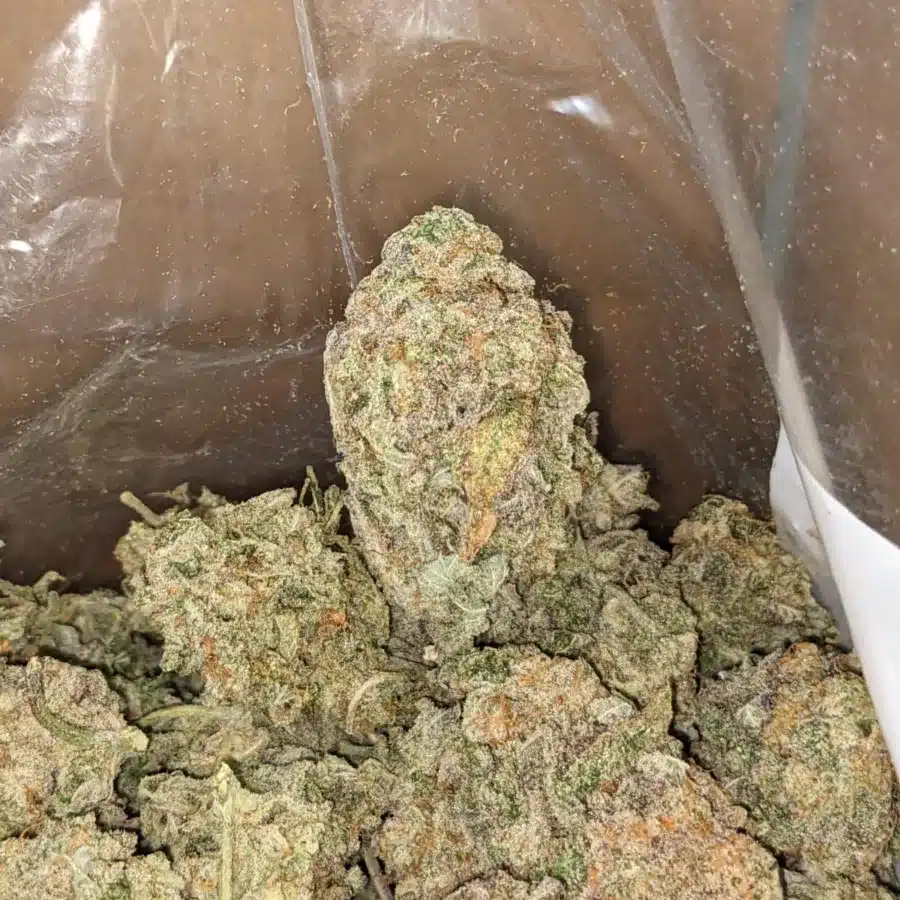 50 Oz Gmo Cookies 4 I $50oz GMO Cookies