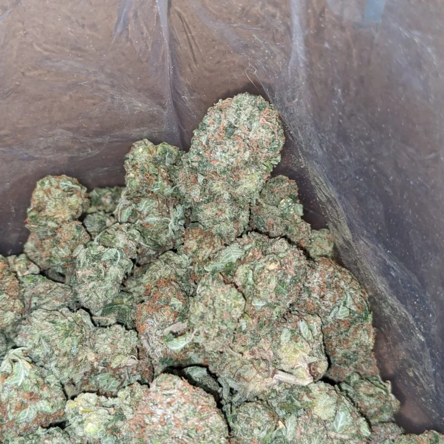 9LB Hammer - Image 3