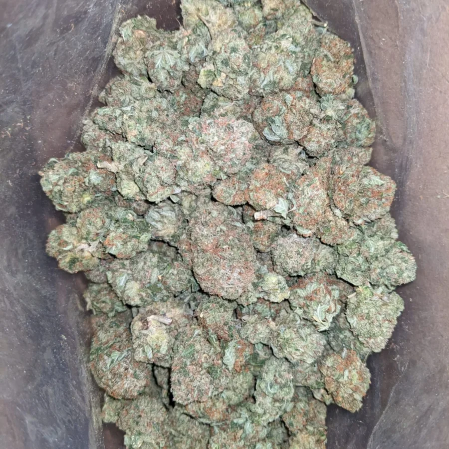 9LB Hammer
