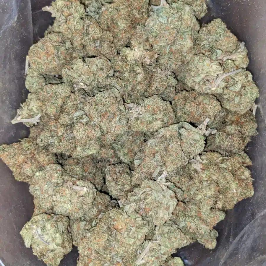 Agent Orange