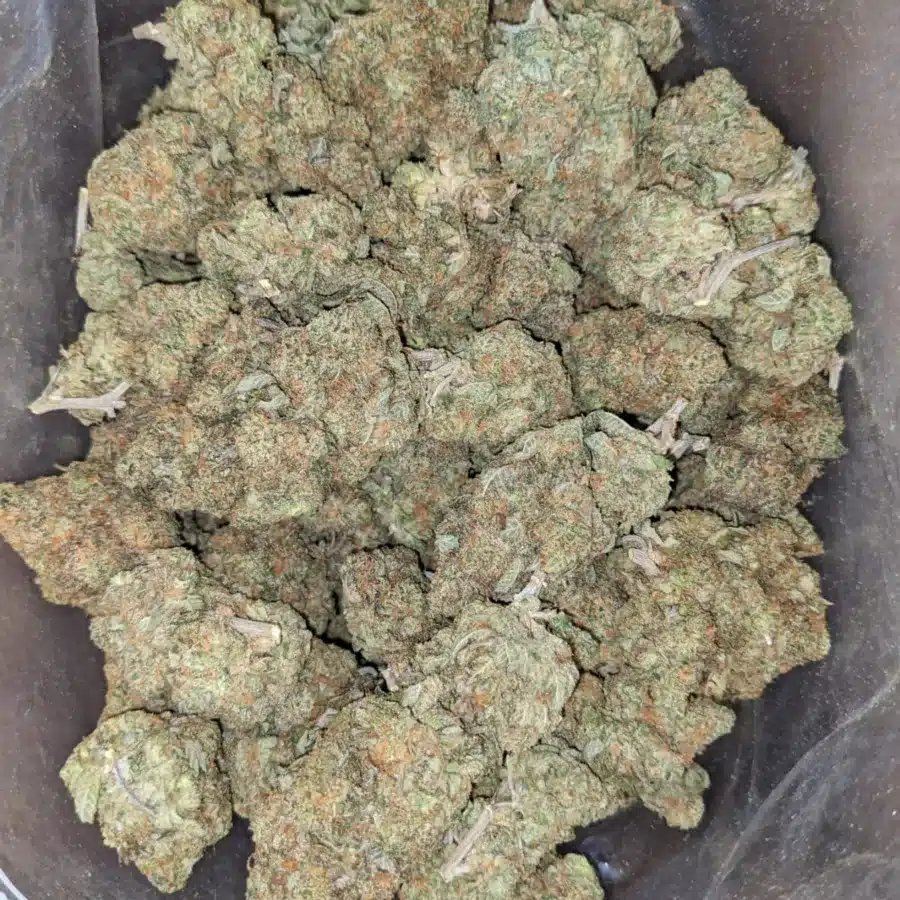 Alternative view of Agent Orange