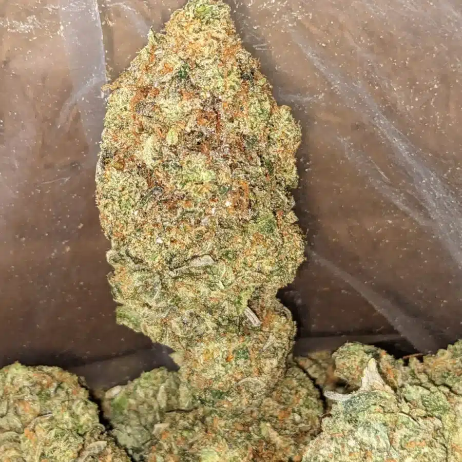 Agent Orange 3 1 I Agent Orange